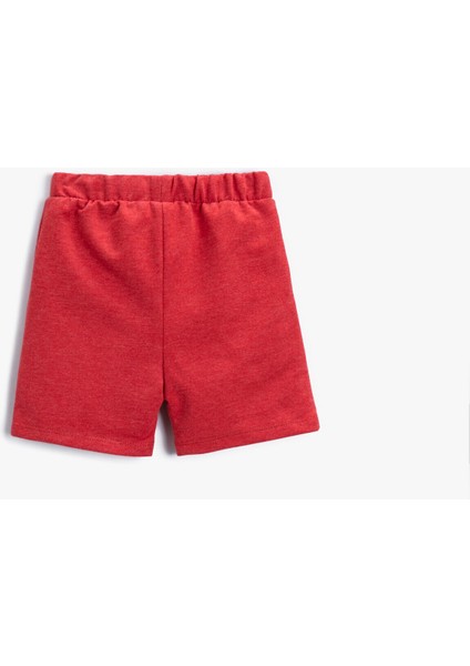 Erkek Bebek Slogan Baskılı Şort Pamuklu fiyatları
