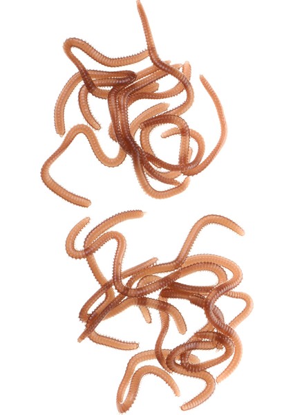 Yumuşak Balıkçılık Yemler Cazibesi Yumuşak Kauçuk Lures Kanca Yemler modelleri