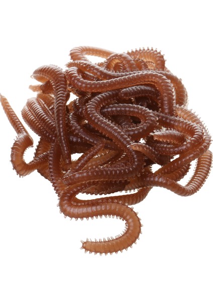 Bir Kutu Toprak Solucanı Yumuşak Lures, Büyük Taklit Aromalı ve Kokulu 20G Yemler Yemler(Yurt Dışından) modelleri