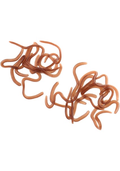 Bir Kutu Toprak Solucanı Yumuşak Lures, Büyük Taklit Aromalı ve Kokulu 20G Yemler Yemler(Yurt Dışından) fırsatları