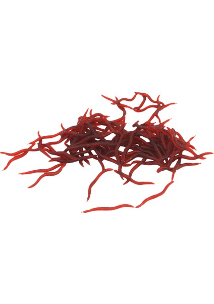 2 Kutu Yumuşak Lure Yem Harika Taklit Aromalı ve Kokulu indirimleri