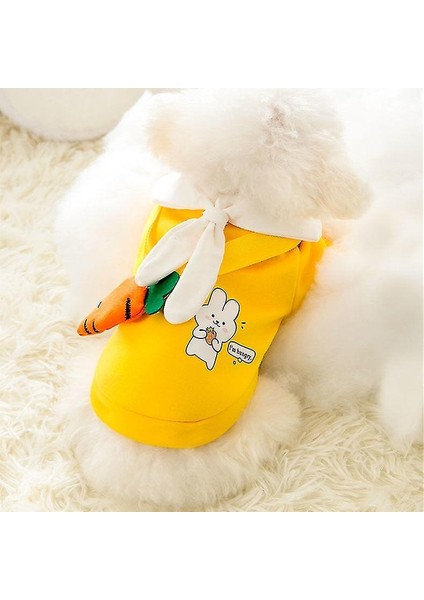 Evcil Hayvan Köpek Kıyafeti - (Yurt Dışından) modelleri