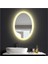 80X100 cm Kumlamalı Elips Ledli Ayna Banyo Aynası Dekoratif Ayna Boy Ayna Salon Duvar Ayna 4