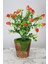 Dekoratif Yosunlu Saksıda Yapay Çilek Demeti 30 Cm 1