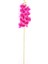 Yapay Dal Baskılı Orkide Çiçeği 88 cm Fuşya 1