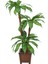 Bodur Yapay Ağaç Cordyline 105 cm Model 1 1