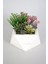Beton Saksida Yapay Succulent Bahçesi 1