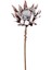 Yapay Protea Bitkisi 52 cm Gri-Kızıl 1