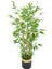 Metal Galvaniz Saksıda Yapay Bambu Ağacı 6 Gövde 140 cm (Siyah-Gold) 1