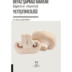 Beyaz Şapkalı Mantar (Agaricus Bisporus) Yetiştiriciliği - Gökhan Baktemur