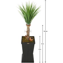 Yapay Çiçek Deposu Ahşap Saksıda Yapay Trpoikal Yucca Ağacı 125 Cm
