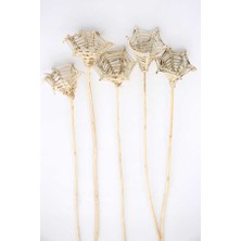 Yapay Çiçek Deposu 5li Tropic Lata Topi 50 Cm
