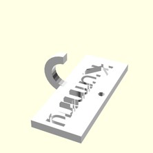 Aldım Geldi Kumru Kişiye Özel Üretim Zincirsiz Anahtarlık Tutucu Sevgiliye Eşe Hediyelik Tag Askı Organik Plastikten