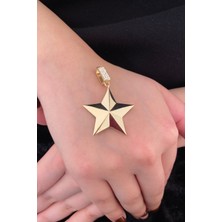 Fiyonk Kuyumculuk 14 Ayar Altın Taşlı Kilit Detaylı Taşlı Asimetrik Yıldız Kolye Ucu