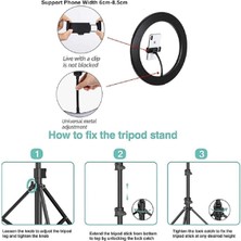 Asfal 10 Inç Işık + Bluetooth Kumanda + Telefon Tutacağı + 2.1 Metre Tripod Işık