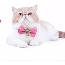 Essba Pembe Pabyonlu Kedi Tasması