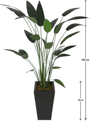 Yapay Çiçek Deposu Ahşap Saksıda Yapay Starliçe Ağacı 190 cm