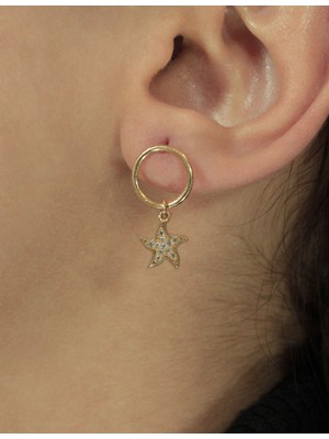 Fiyonk Kuyumculuk 14 Ayar Altın  Deniz Yıldızı Halka Sallantılı Küpe