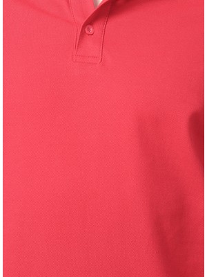 Limon Oscar21 Polo Yaka Basic Düz KoyuKırmızı Erkek T-Shirt