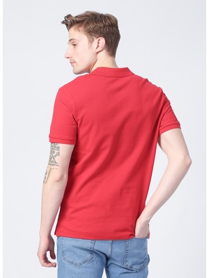 Limon Oscar21 Polo Yaka Basic Düz KoyuKırmızı Erkek T-Shirt