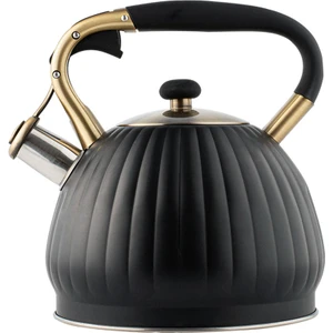 Tüm Mutfak Sobası Için Islık Çayı Su Isıtıcısı Kabak Pot / Indüksiyon 3.5l