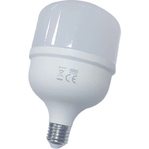 CT-4263 30W/6500K LED Ampul (Beyaz) Cata