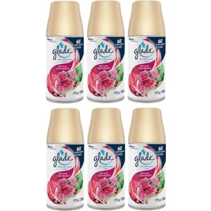 Oda Parfümü Otomatik Sprey Oda Kokusu Bahar Kokuları Meyve & Çiçek Buketi 6 x 269 ml
