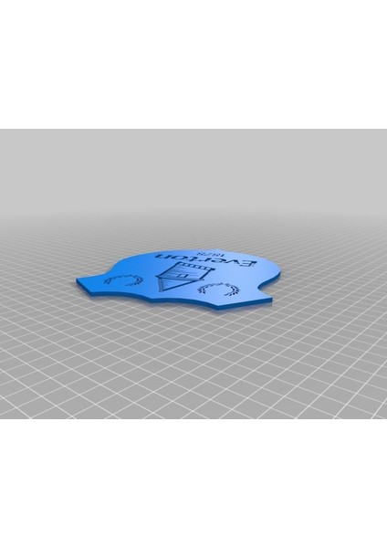 Everton Plastik Aparat fiyatları