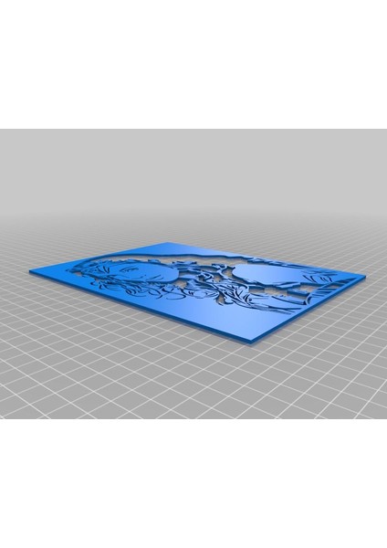 Wonder Kadın Stencil 15 Plastik Aparat
