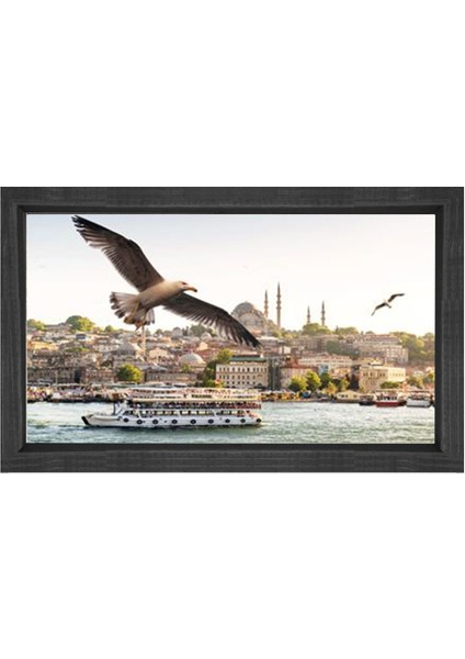 Istanbul ve Martılar Tablosu-Siyah Ahşap - 50X70