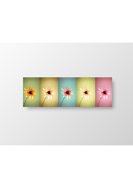 Renkli Çiçekler Tablosu-Çerçevesiz - 180X60