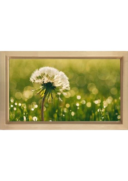 Karahindiba Çiçek Tablosu-Naturel Ahşap Çerçeve - 40 x 60