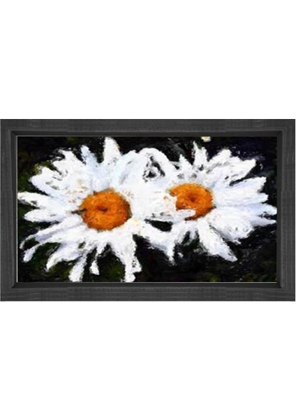Çift Papatyalar Çiçekler Tablosu-Siyah Ahşap - 40X60