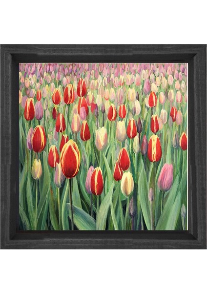 Gül Bahçesi Çiçekleri Tablosu-Siyah Ahşap Çerçeve - 60 x 60