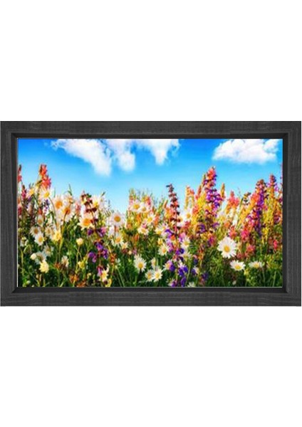 Papatyalar Çiçek Manzara Tablosu-Siyah Ahşap - 40 x 60