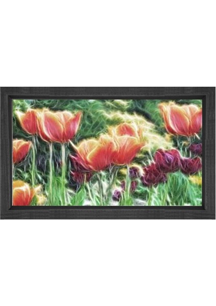 Kırmız Gül Çiçekleri Tablosu-Siyah Ahşap Çerçeve - 50 x 70