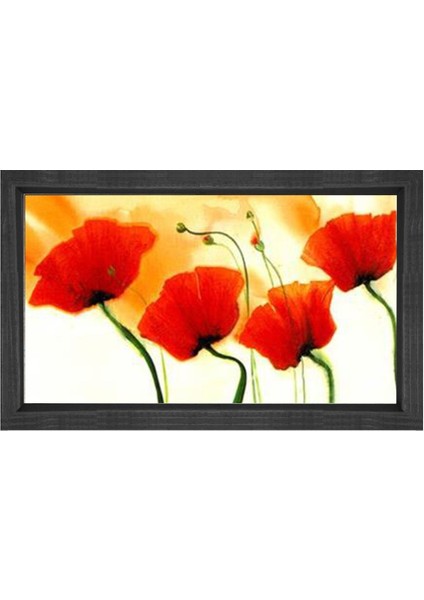 Kırmızı Gelincik Çiçekler Tablosu-Siyah Ahşap Çerçeve - 50 x 70