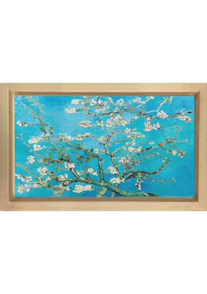 Çiçekli Badem Ağacı Tablosu-Naturel Ahşap Çerçeve - 50X70