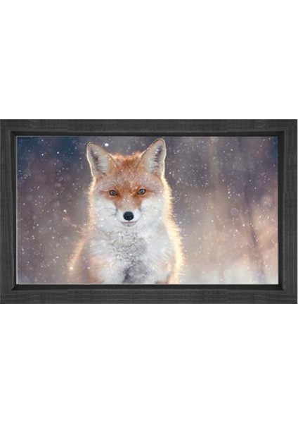 Tilki Tablosu-Siyah Ahşap - 50 x 70