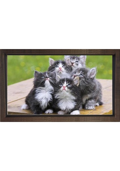 Kedi Ailesi Tablosu-Kahverengi Ahşap Çerçeve - 50 x 90