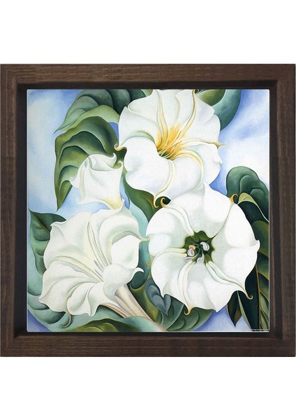 Beyaz Çiçekler Tablosu-Kahverengi Ahşap Çerçeve - 50 x 50