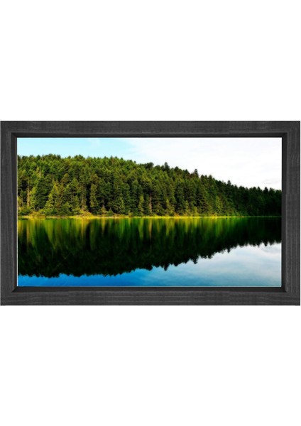 Göl Kenarı Ormanı Tablosu-Siyah Ahşap - 50 x 90
