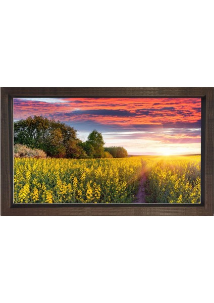 Muhtesem Gökyüzü Çiçekli Tarla Tablosu-Kahverengi Ahşap - 50 x 70