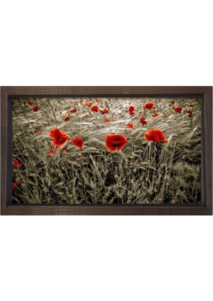 Gelincik Çiçekleri Tarlası Tablosu-Kahverengi Ahşap Çerçeve - 50 x 90 cm