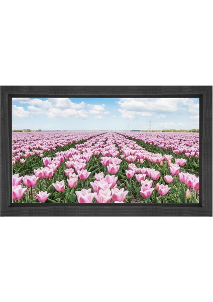 Pembe Gül Çiçek Manzarası Tablosu-Siyah Ahşap - 50 x 90 cm
