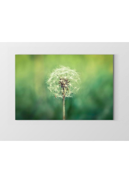 Karahindiba Çiçek Tablosu-Çerçevesiz - 100 x 150