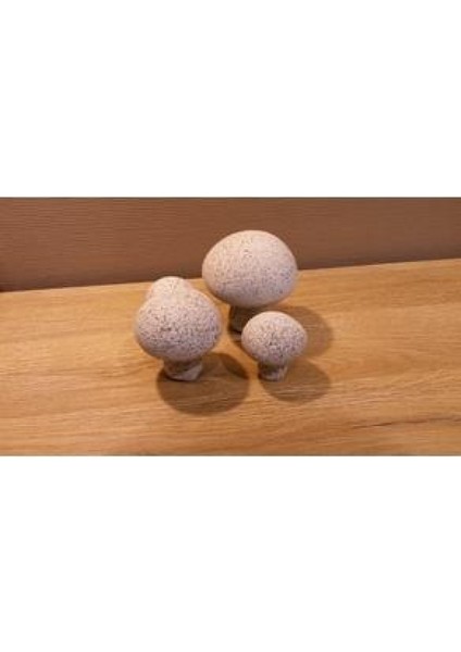 HONSHIMEJI_001 Plastik Aparat