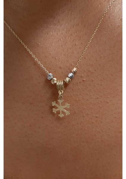 14 Ayar Altın Kartaneli Kolye fiyatları