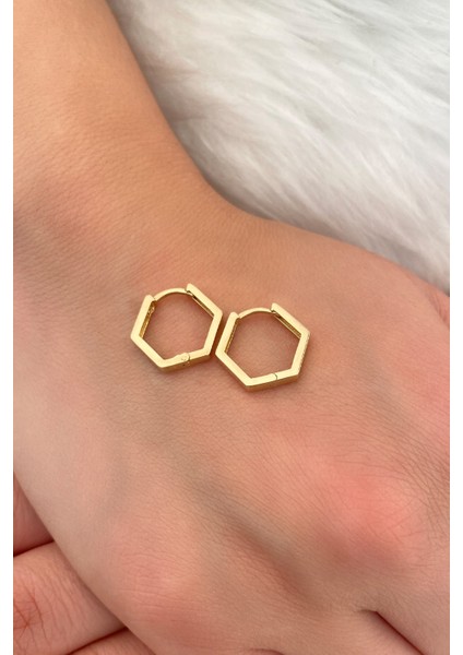 14 Ayar Altın Kalın Küçük Altıgen Küpe fiyatları