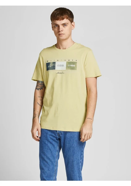 Jack & Jones 12205503_Jorbrady Tee Bisiklet Yaka Standart Kalıp Baskılı Sarı Erkek T-Shirt